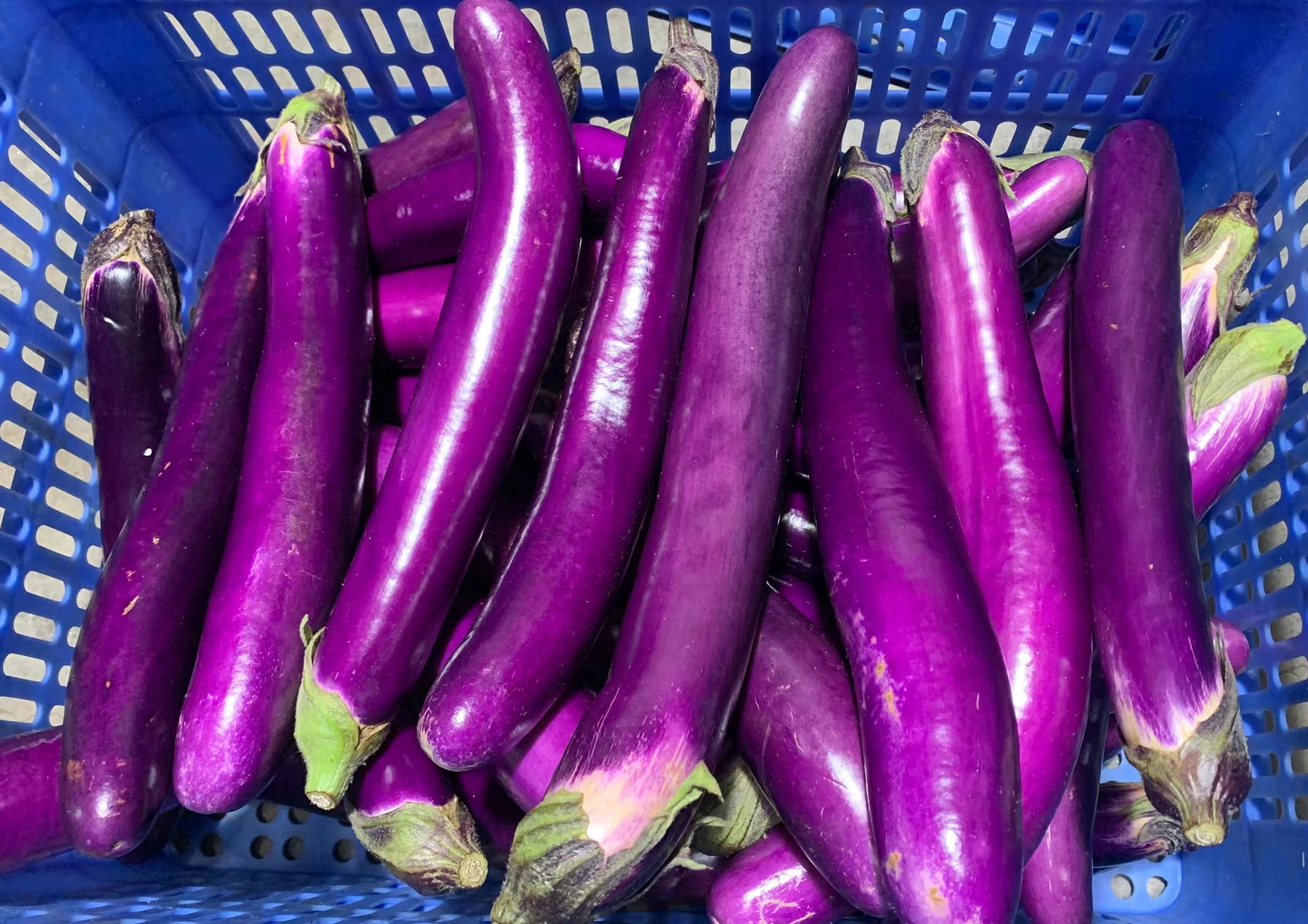 <b>有哪些蔬菜配送平台，满足你的每一次蔬菜需求</b>