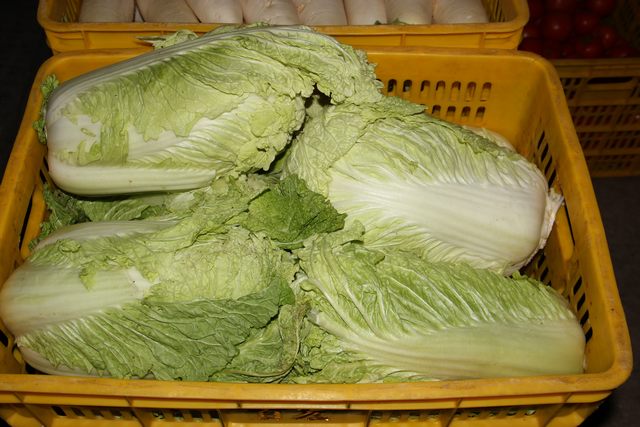 <b>有什么好吃的配送蔬菜，配送蔬菜的魅力</b>