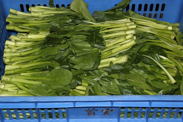 <b>买菜有哪些平台，买菜的常见平台有哪些</b>