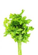 芹菜叶是补铁佳蔬